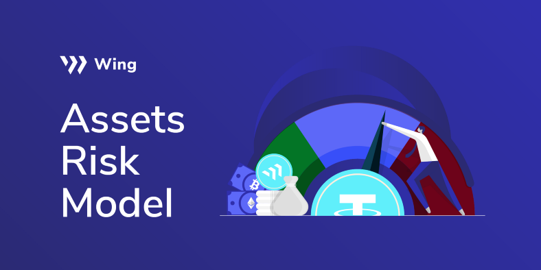 Introduction: Wing’s Assets Risk Model