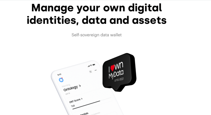 Ontology Node Staking Guide on ONTO